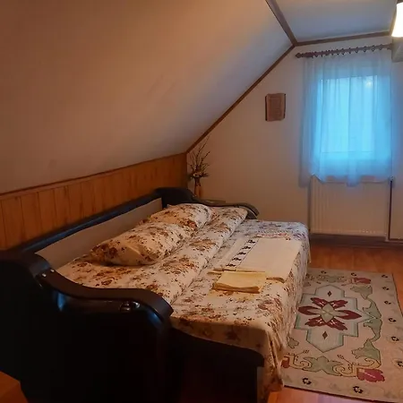 Appartement Edelweiss Ilinca à Zărneşti Extérieur photo
