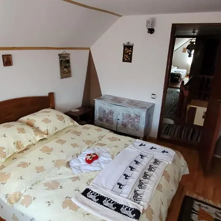 Appartement Edelweiss Ilinca à Zărneşti Extérieur photo