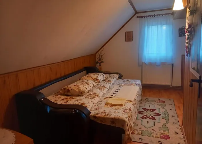 Edelweiss Ilinca