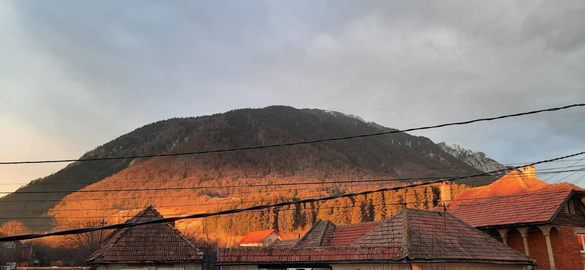 Edelweiss Ilinca Séjour chez l'habitant Zărneşti