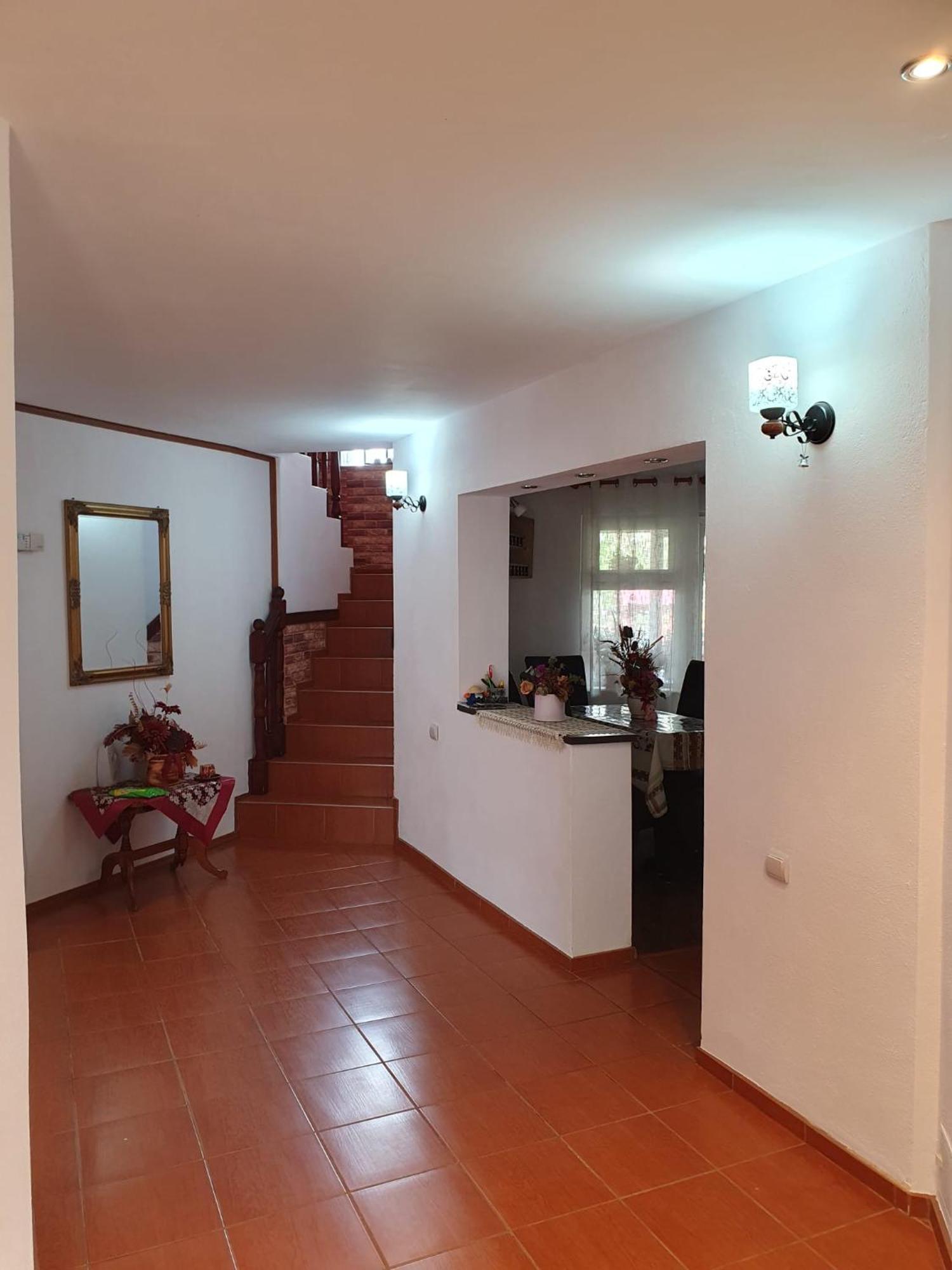 Séjour chez l'habitant Edelweiss Ilinca Zărneşti