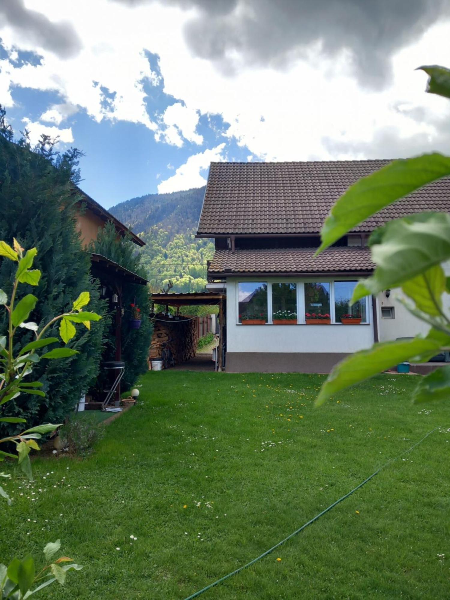 Séjour chez l'habitant Edelweiss Ilinca